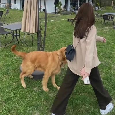 圣母颂